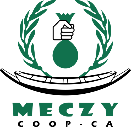 Meczy