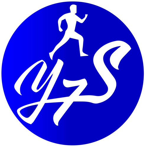 Y7S